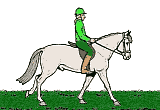 animace divného koně s jezdcem.gif