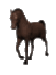 animace koně v koku.gif