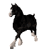 animace cválajícího koně.gif